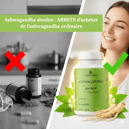 Ashwagandha shoden sommeil raisons